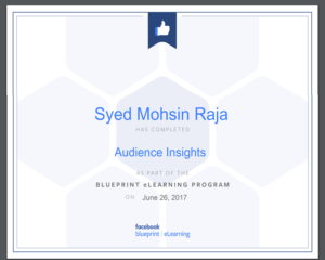 Audience Insights Facebook Blueprint