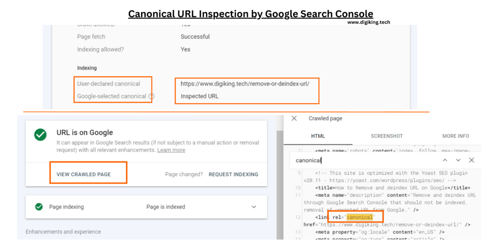 Canonical URL Inspection by Google Search Console