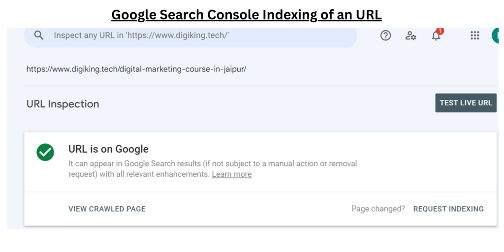 (remove or deindex URLs) Indexed URL on google search console