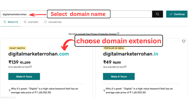 goDaady Choosing domain name & extension
